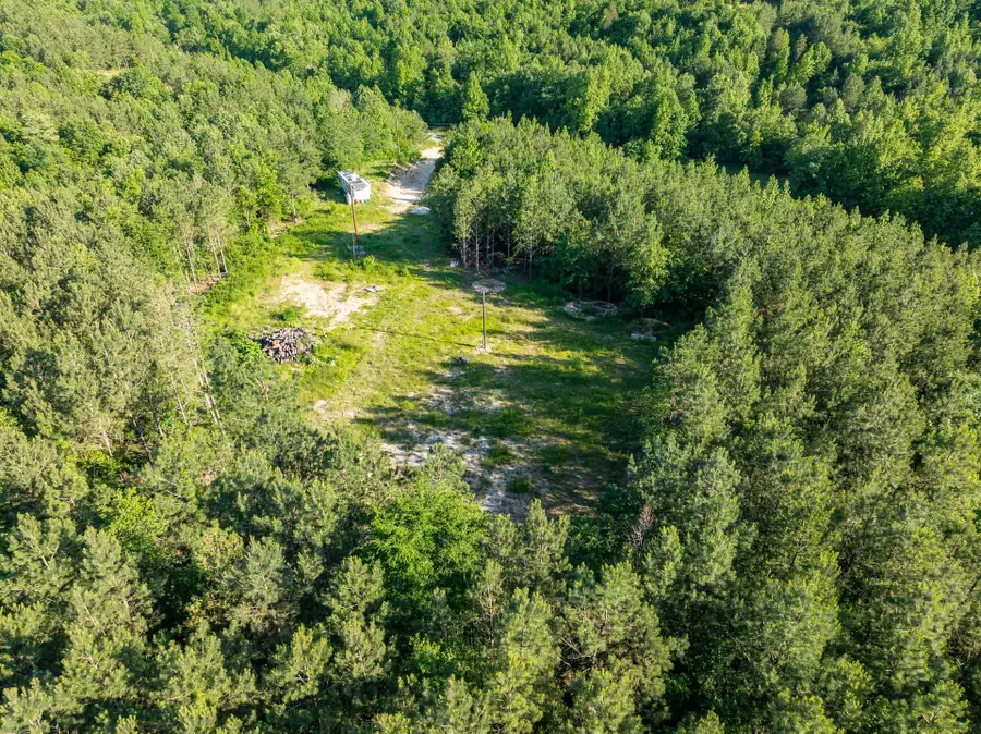 1882 Morris Rd, Holladay, TN 38341 - #2