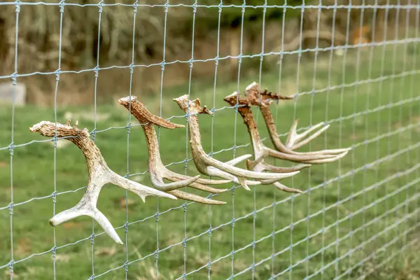 0 Fishing Ford Rd, Belfast, TN 37019