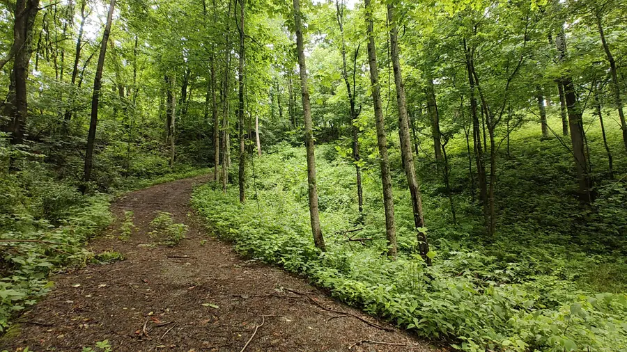 56 Harbor Drive, Lancaster, TN 38569 - Image #2