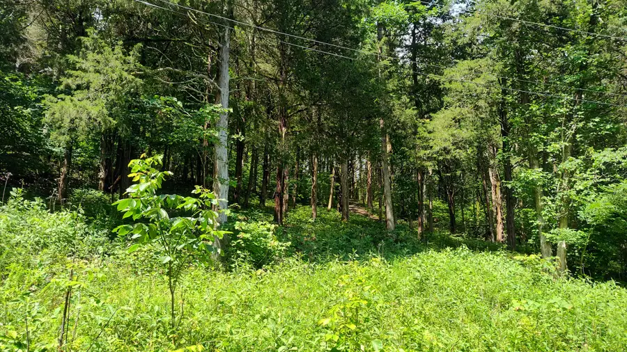 6 Bay Dr, Lancaster, TN 38569 - Image #3