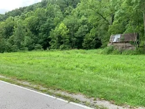 0 Wartrace Rd, Whitleyville, TN 38588 - Image #3