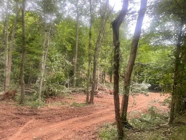 0 Mccollum Road, Hurricane Mills, TN 37078 - Image #2