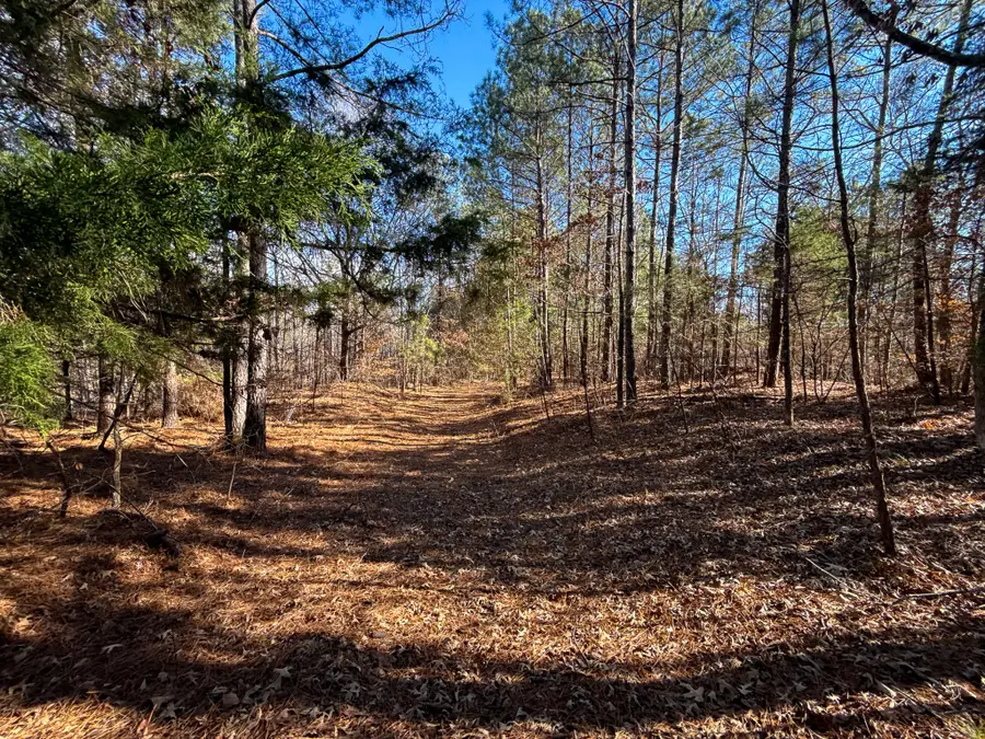 935 Pearson Rd, Cedar Grove, TN 38321 - #3