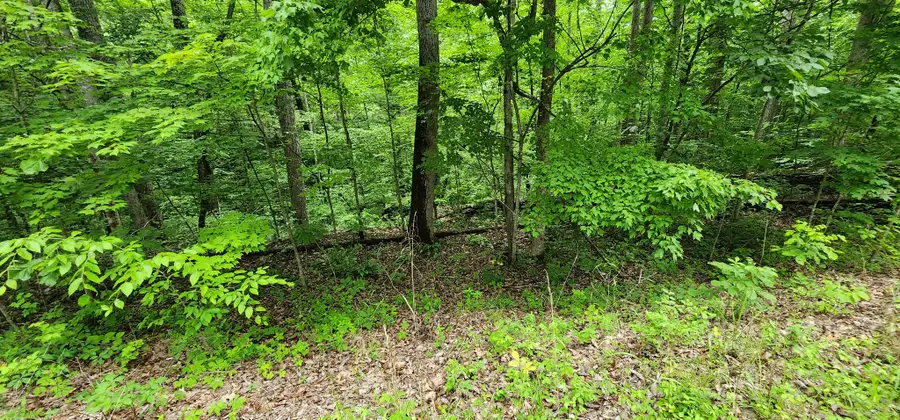 0 Skyline Dr, Smithville, TN 37166 - #2