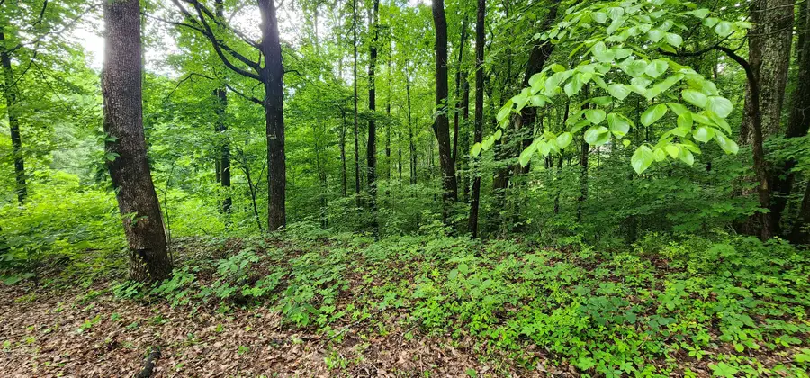 0 Poplar Pl, Smithville, TN 37166 - #3