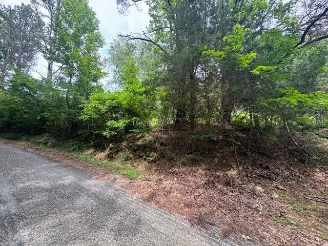 1970 Trace Creek Rd, Hohenwald, TN 38462 - Image #3