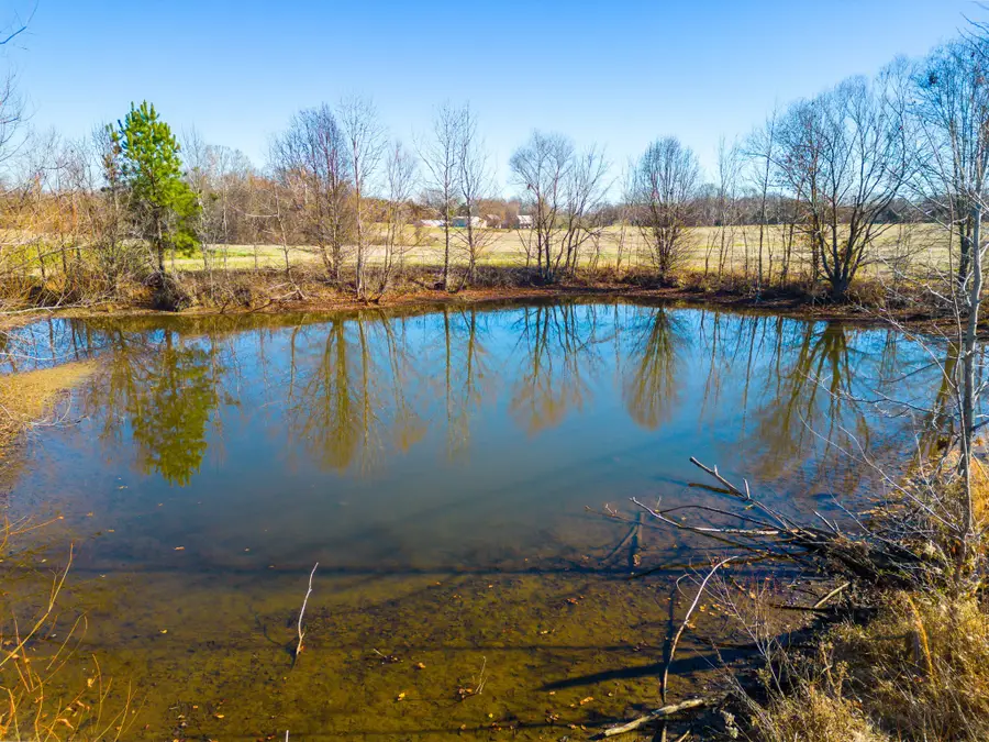 0 Hwy 41 N, Cedar Hill, TN 37032 - Image #3