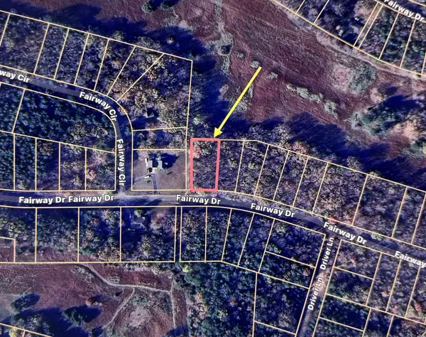 956 Fairway Dr, Saulsbury, TN 38067