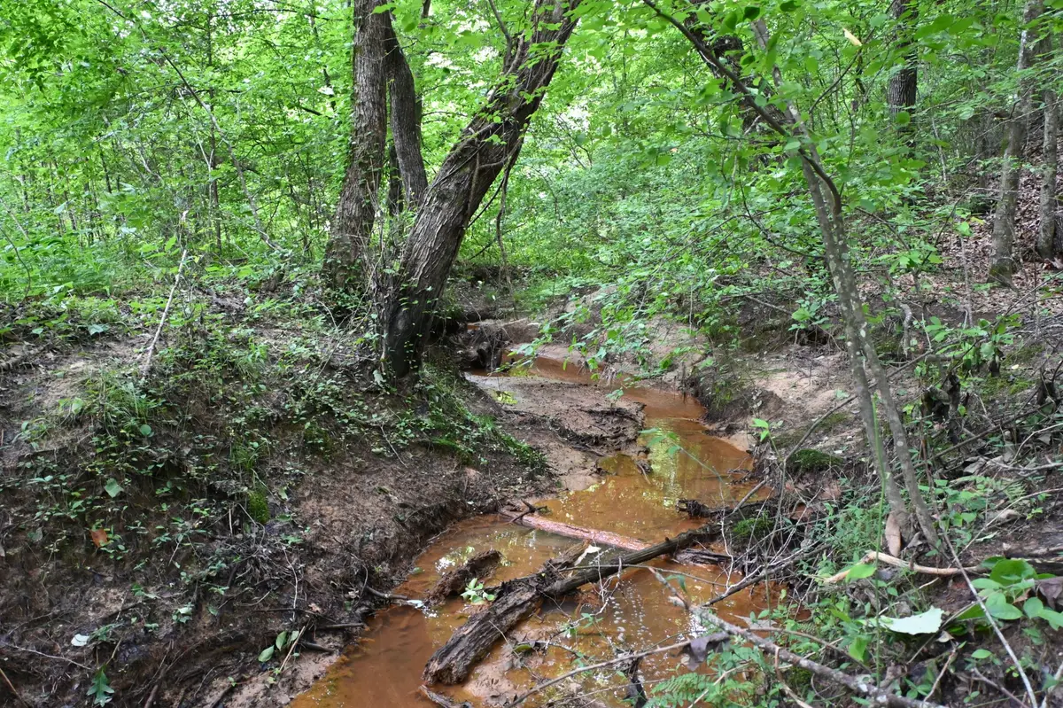 0 Blunt Rd, Decaturville, TN 38329 - Image #1