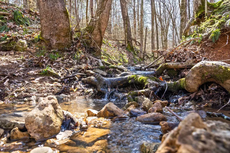 1 Ferry Rd, Clarksville, TN 37040 - #3