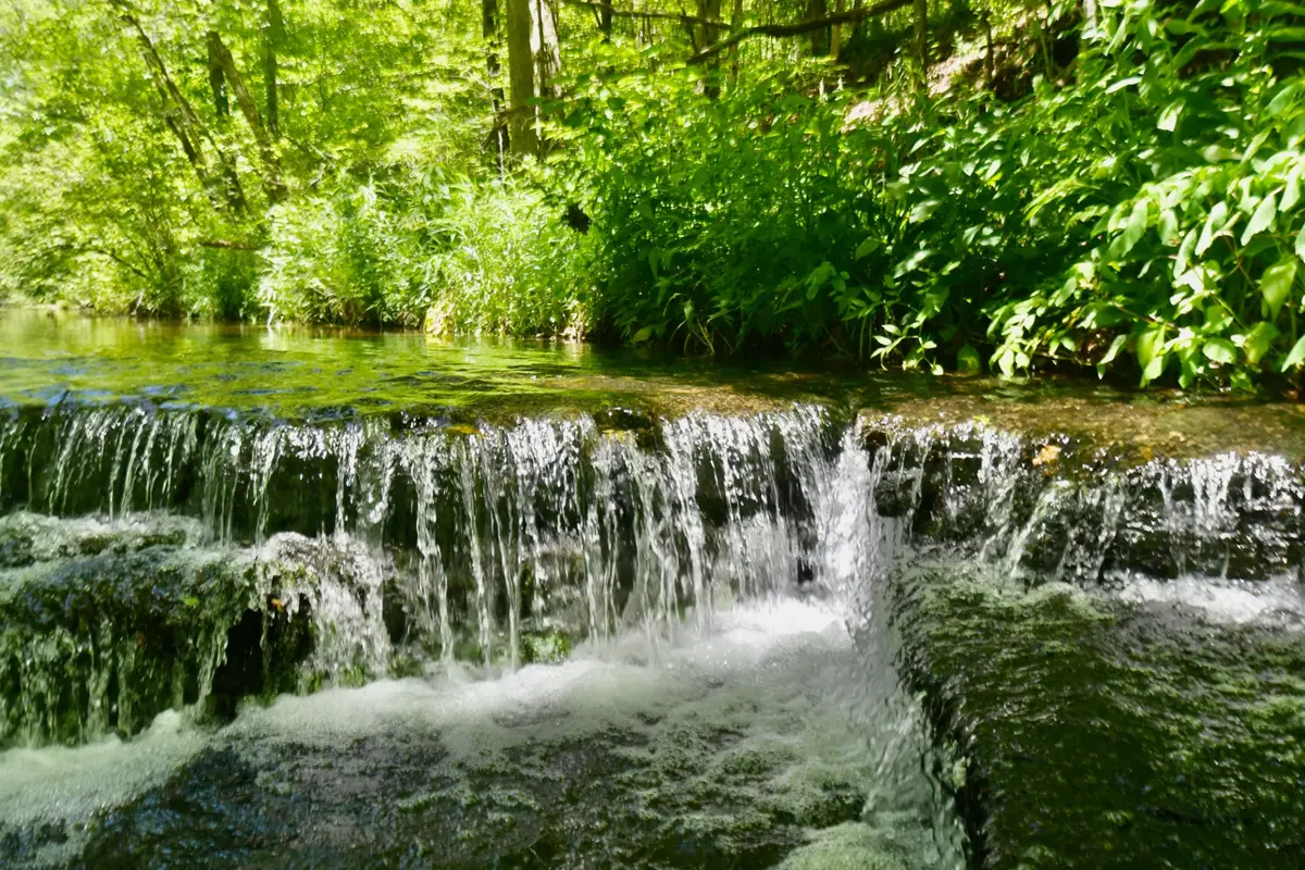 0 Brush Creek, Hohenwald, TN 38462 - Image #1