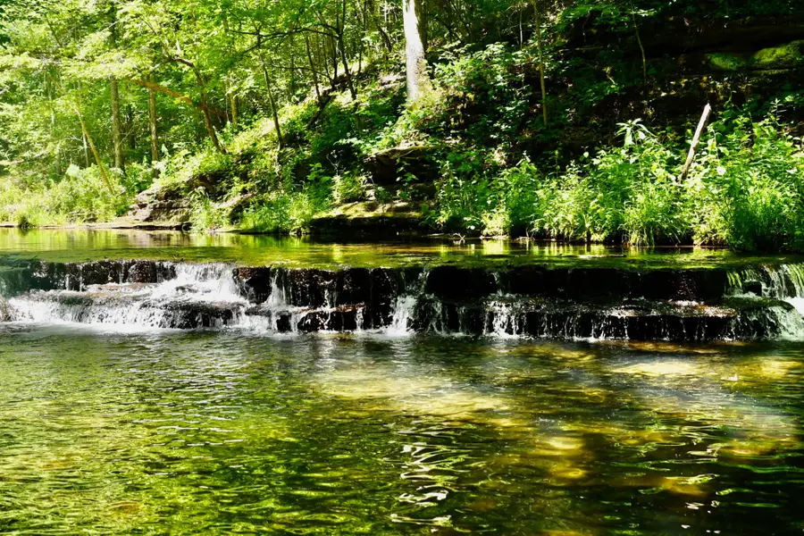 0 Brush Creek, Hohenwald, TN 38462 - Image #3