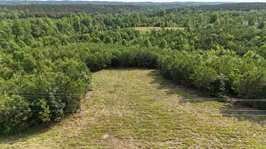 8072 Old Hohenwald Rd, Linden, TN 37096 - Image #2