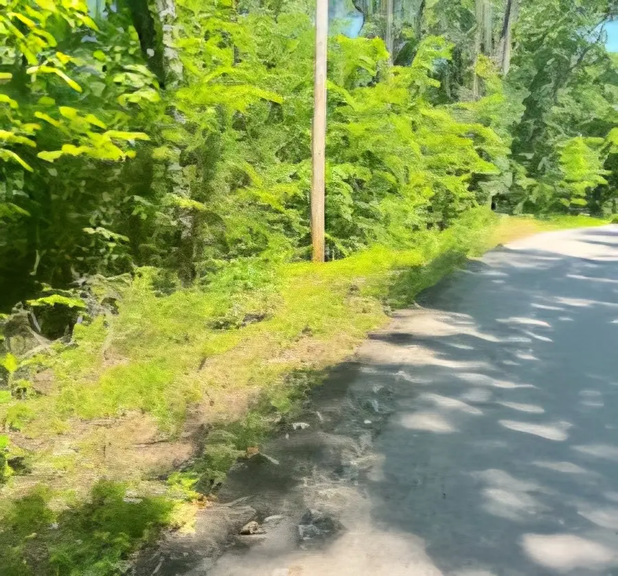 19 Harbor Pointe Dr, Silver Point, TN 38582 - Image #2