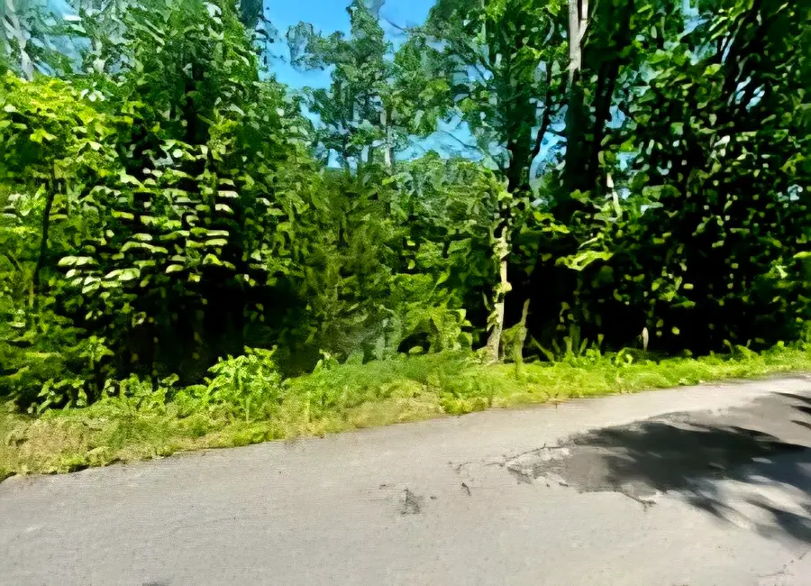 19 Harbor Pointe Dr, Silver Point, TN 38582 - Image #3