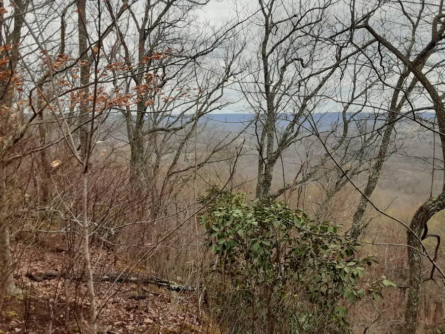 0 Sheep Bluff Road, Cookeville, TN 38506 - Image #2