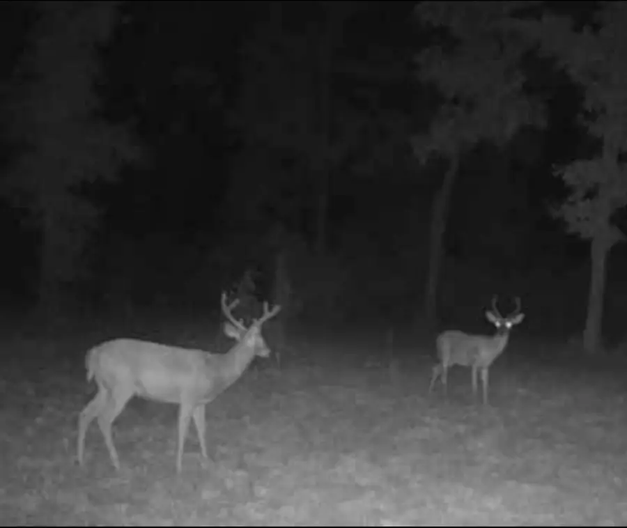 152 Cascade Spring Rd, Hohenwald, TN 38462 - Image #3