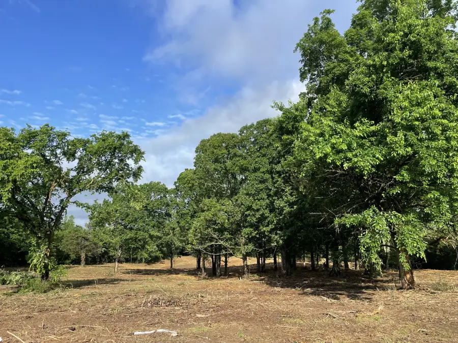 2998 Verona Caney Rd, Lewisburg, TN 37091 - Image #2