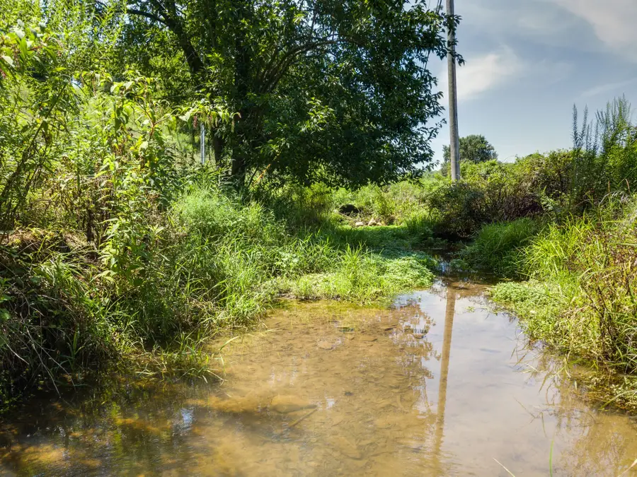 0 Giles Hill Rd, College Grove, TN 37046 - Image #3