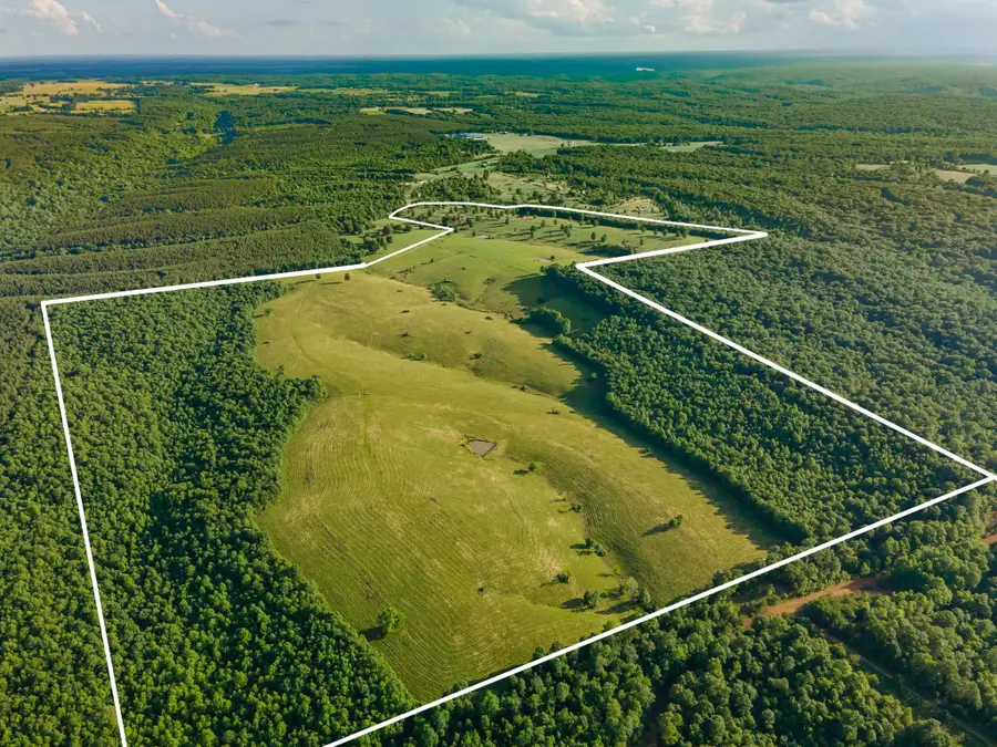 331 Christopher Ln, Lawrenceburg, TN 38464 - Image #3