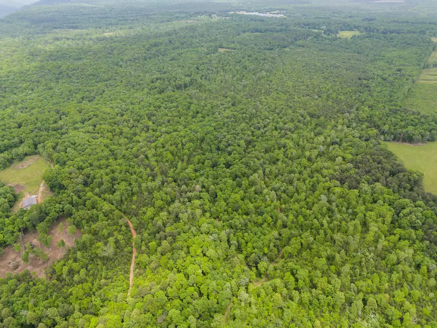 2361 Colony Road, Gruetli Laager, TN 37339 - Image #2