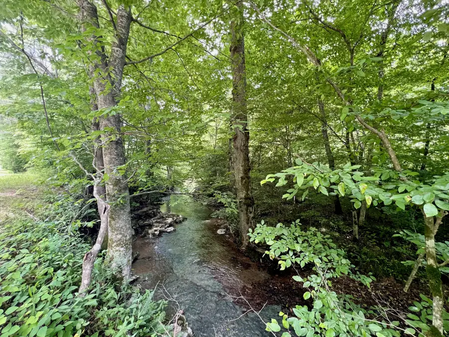 0 Powdermill Branch Rd, Summertown, TN 38483 - Image #2