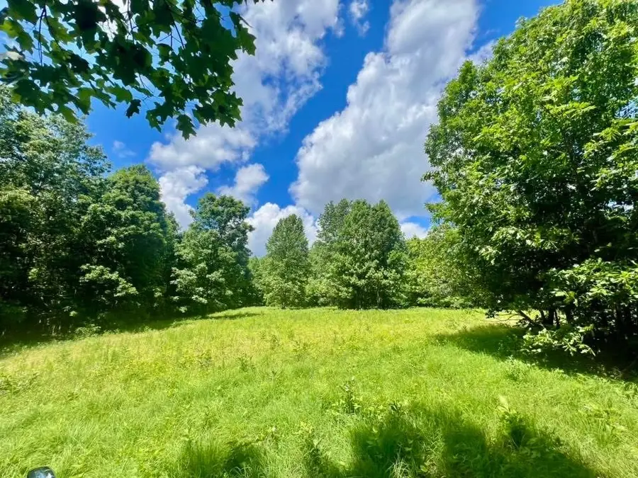 0 Powdermill Branch Rd, Summertown, TN 38483 - Image #3