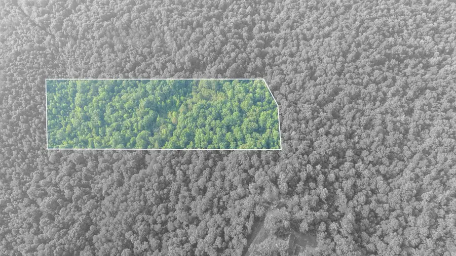 0 Todd Ln, Lexington, TN 38351 - Image #2