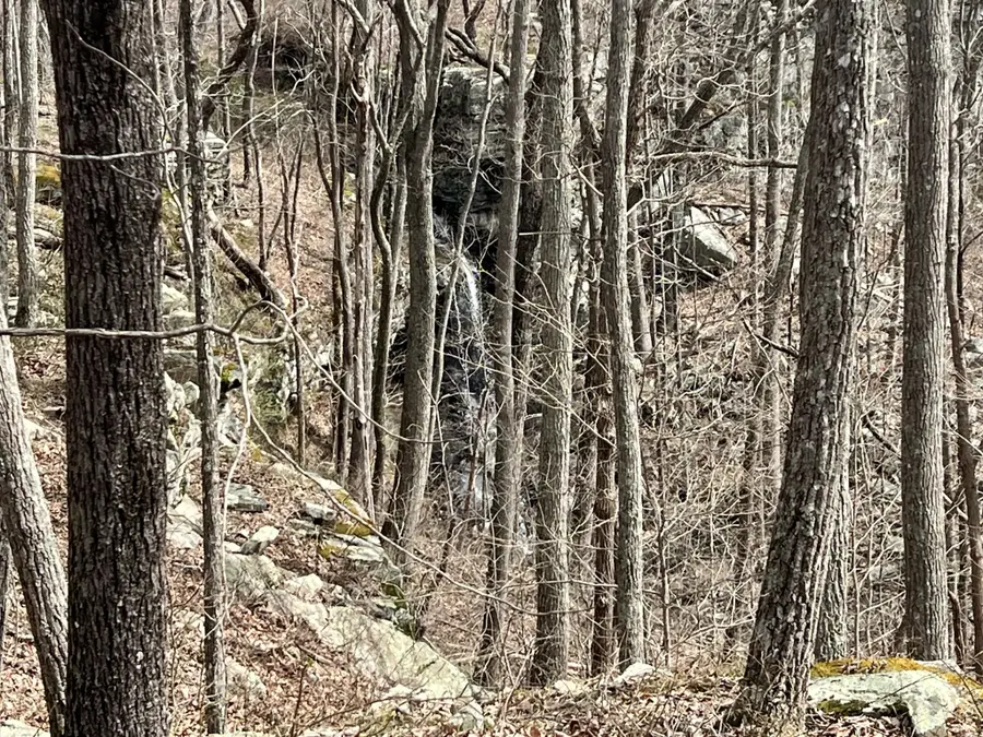 4441 Deer Run Road, Altamont, TN 37301 - Image #2