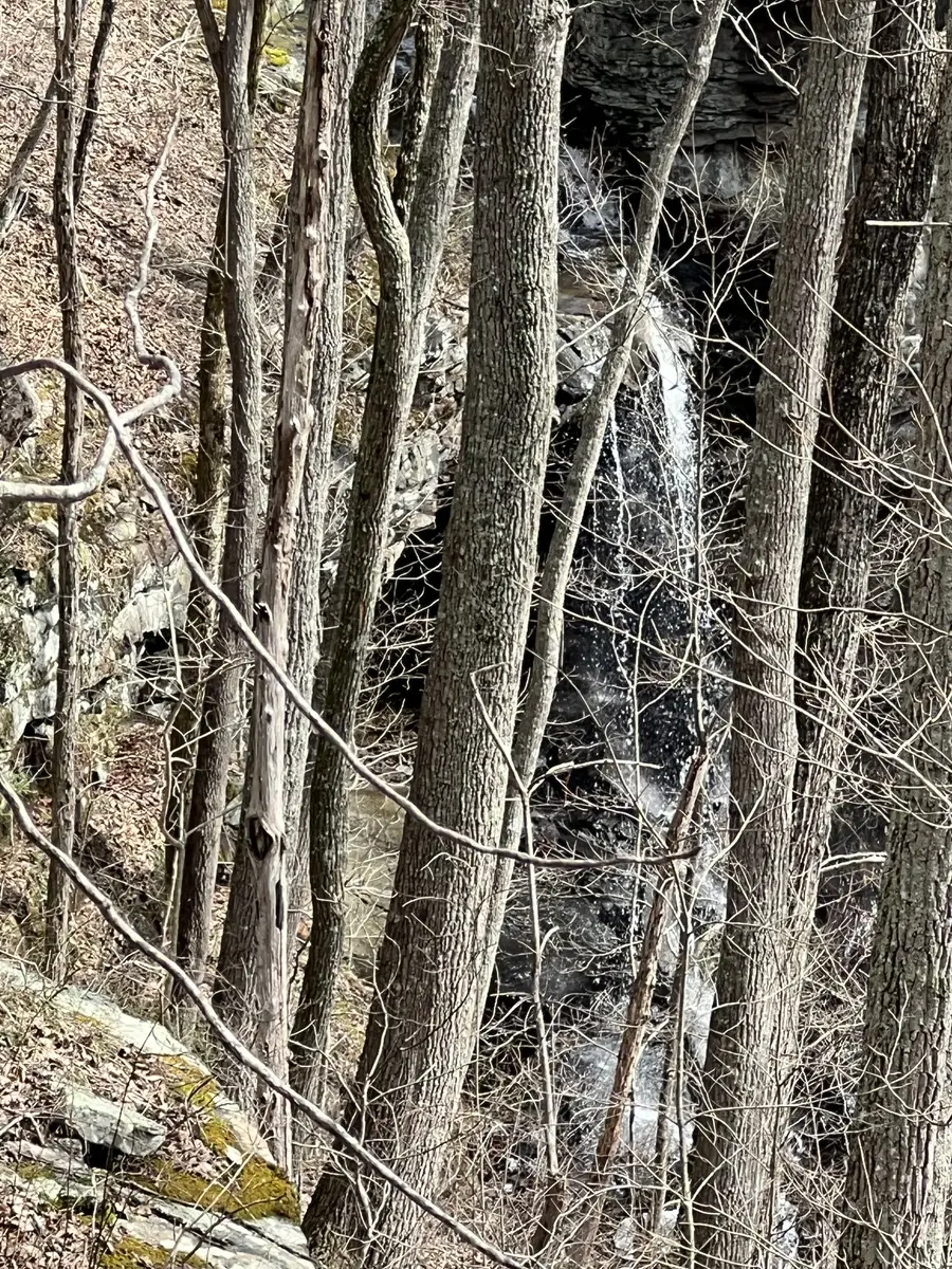 4441 Deer Run Road, Altamont, TN 37301 - Image #3