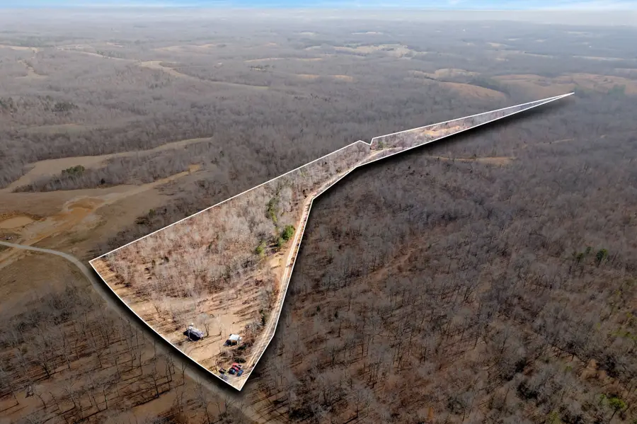 262 Deer Haven Rd, Indian Mound, TN 37079 - Image #2