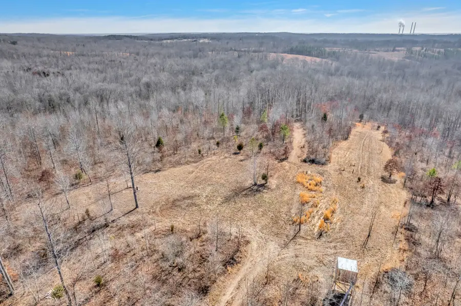 262 Deer Haven Rd, Indian Mound, TN 37079 - Image #3