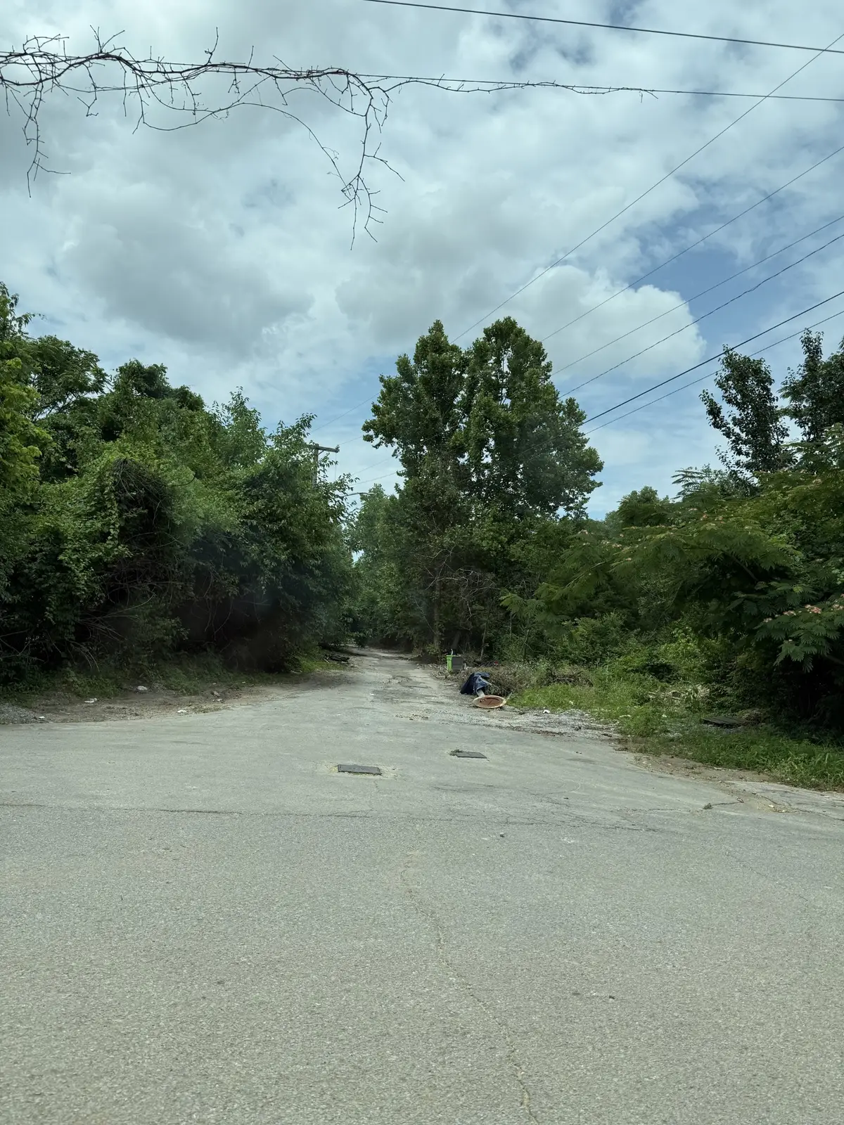 1259 Creek Street, Nashville, TN 37210 - Image #1