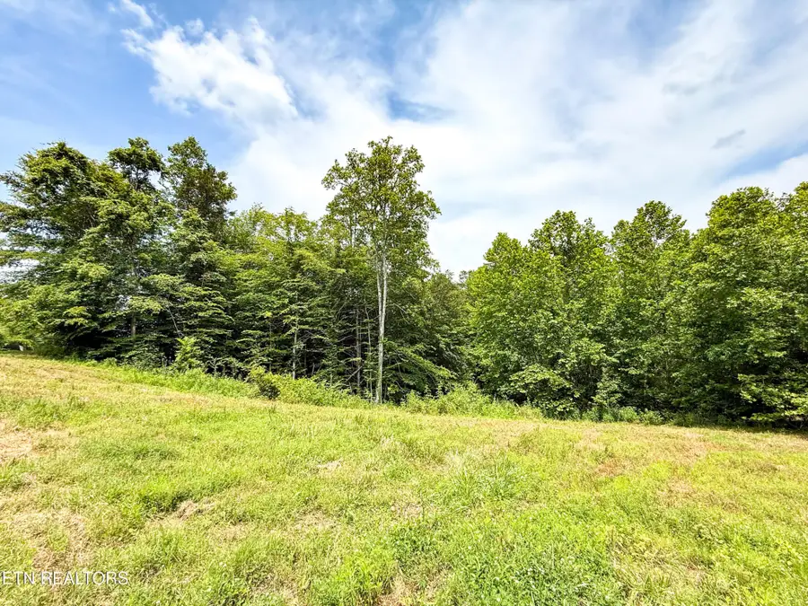 117 Cherry Oak Drive, Oak Ridge, TN 37830 - Image #3