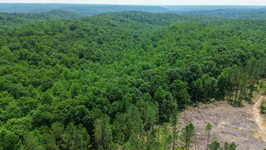 0 Salem Rd, Centerville, TN 37033 - Image #2