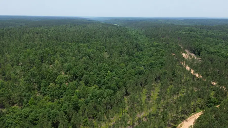 0 Salem Rd, Centerville, TN 37033 - Image #3