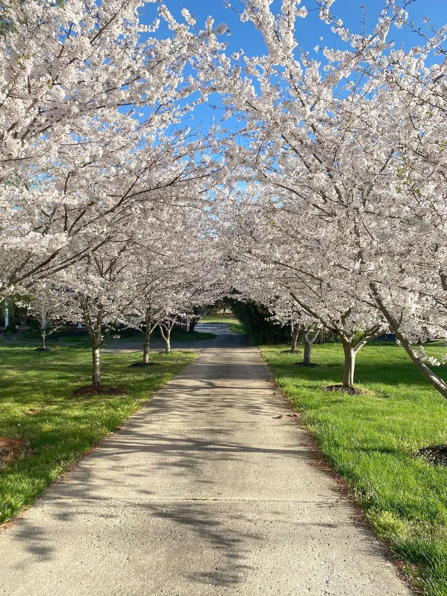 2214 Henpeck Ln, Franklin, TN 37064 - #2