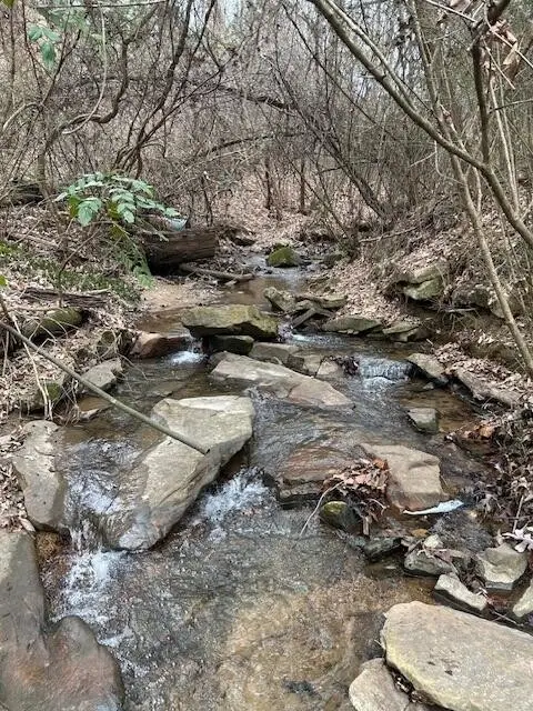 1007 Evanwood Drive E, Lookout Mountain, TN 37350 - Image #1