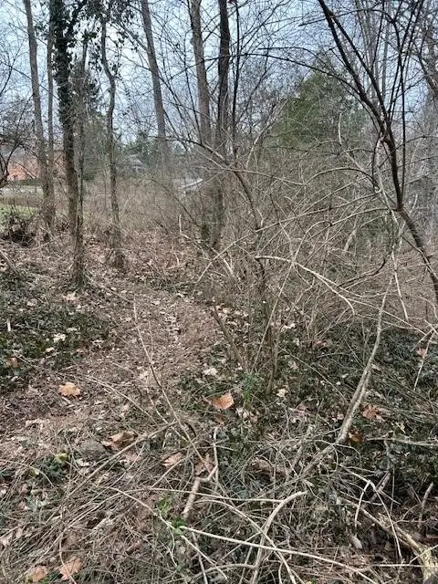 1007 Evanwood Drive E, Lookout Mountain, TN 37350 - Image #3