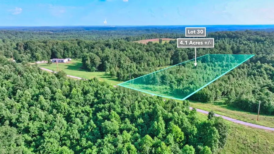 0 Freedom Ridge, Indian Mound, TN 37079 - Image #3