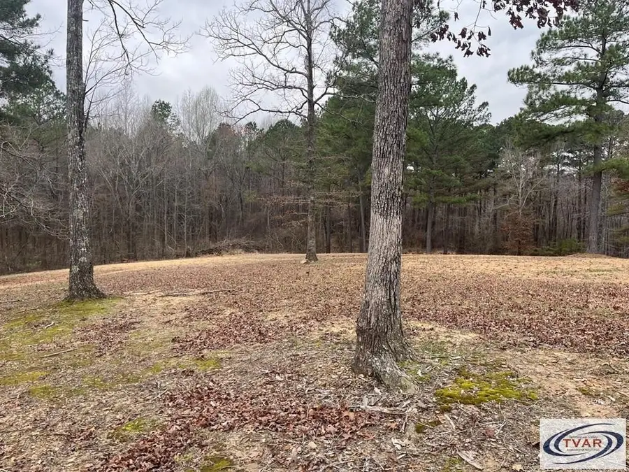 0 Catfish Drive, Buchanan, TN 38222 - Image #3