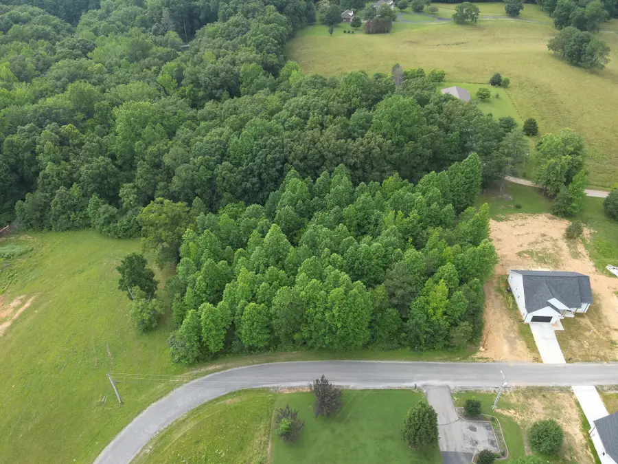 0 Lexie Lane, Lawrenceburg, TN 38464 - Image #2