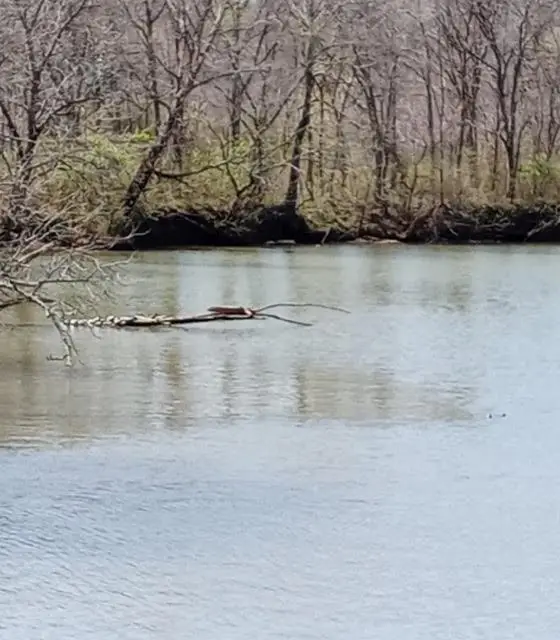 1341 Chapmansboro Rd, Chapmansboro, TN 37035 - Image #2