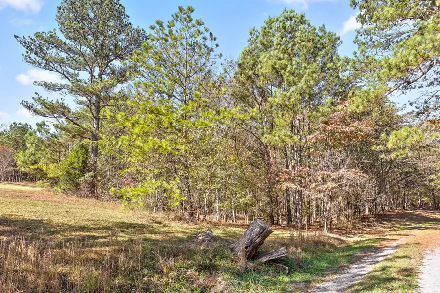 1492 Brymer Creek Road, Mc Donald, TN 37353 - #3