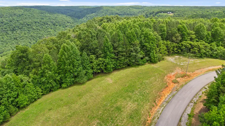 0 Preservation Drive, South Pittsburg, TN 37380 - Image #3