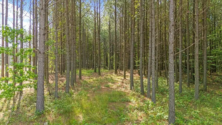 0 Serenity Way, Guild, TN 37340 - Image #2