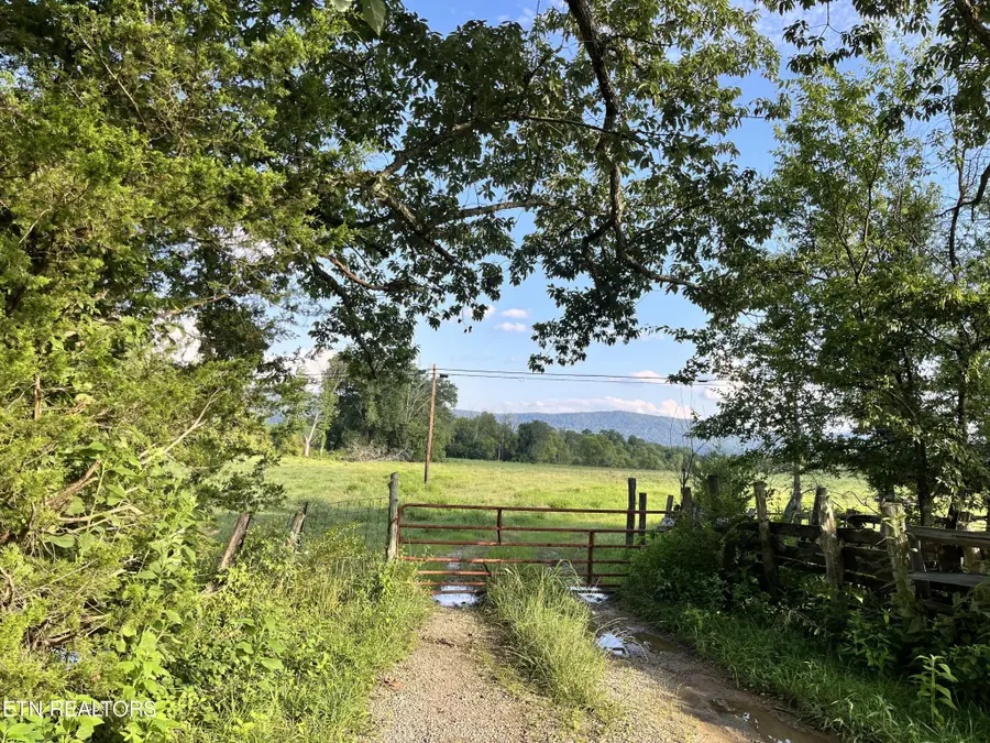 0 Old State Hwy, Pikeville, TN 37367 - Image #2