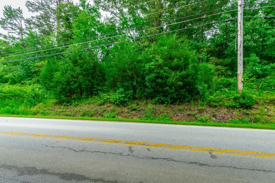 7441 Short Tail Springs Road, Harrison, TN 37341 - #3