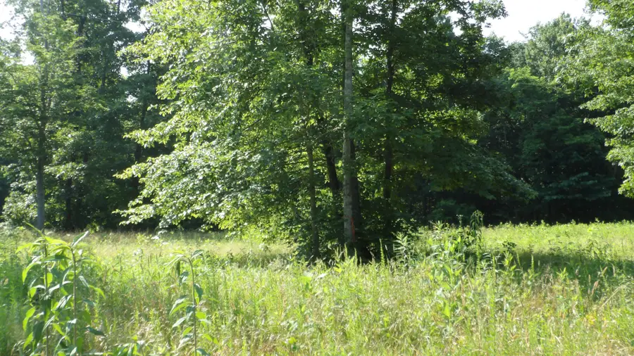 0 Pleasant Cemetery Lane, Gainesboro, TN 38562 - Image #3