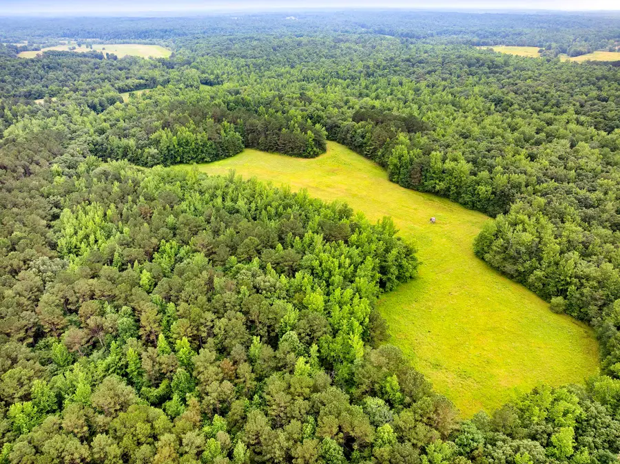 1303 Pugh Rd, Holladay, TN 38341 - #3